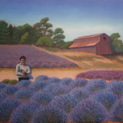 Lavender Hollow