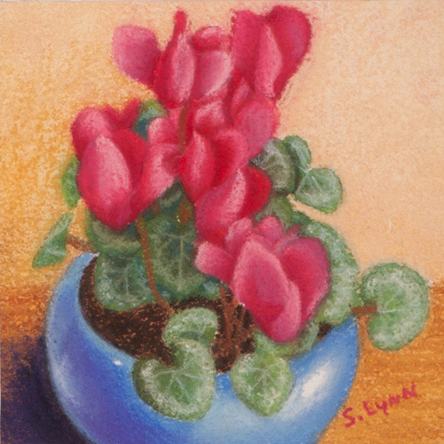 Red Cyclamen, Blue Pot